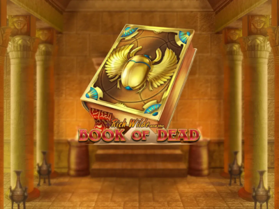 Book of Dead slot